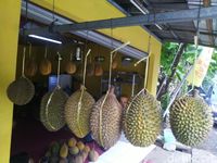 Berburu Durian di Benteng Kampung Durian Ciamis Untuk Oleh-oleh