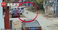 Waduh! Pemilik Resto Ini Tertangkap Curi 8 Anjing untuk Diolah Jadi Hot Pot