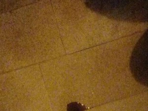 Bawa Motor Ke Bengkel, Dikira Oli Bocor Ternyata Cairan Ini