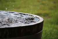 Korban Banjir Terpaksa Minum Air Hujan untuk Bertahan Hidup, Apa Aman ?
