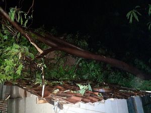 Puting Beliung Terjang 3 Desa di Probolinggo