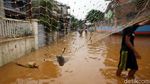 Asyiknya Warga Berburu Ikan di Kala Banjir