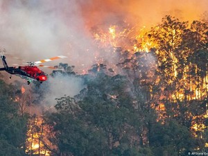 Kebakaran Hutan Australia, Masyarakat Kecewa dengan PM Morrison