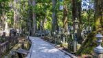 Foto: Melongok Kuburan Tempat Mayat Hidup