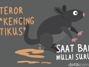Teror Leptospirosis Kencing Tikus Saat Banjir Mulai Surut