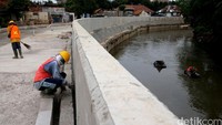 Sungai Ciliwung yang legendaris itu menjadi yang paling disorot karena menjadi biang kerok banjir. Panjang sungai Ciliwung yang harus dinormalisasi adalah 33,5 km. Dari Desember 2012 hingga 2018, normalisasi Ciliwung baru 16 km saja. Masih ada sisa 17,5 km yang harus dinormalisasi. Agung Pambudhy/detikcom.