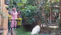 Selama liburan Natal dan tahun baru ini, sudah puluhan ribu wisatawan berkunjung ke Taman Satwa Cikembulan. (Hakim Ghani/detikcom)