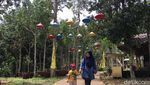 Potret Kali Biru, Destinasi Asri dari Polewali Mandar