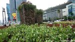 Instalasi Gabion Jilid 2 di HI Kembali Dipasang