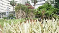 Saat ini, instalasi gabion sudah kembali berdiri. Tampak tiga bronjong berisi batu gabion sudah berdiri, di bagian atas masih ada tanaman lee kuan yew dan gandarusa merah. Sementara di sekitar instalasi batu gabion ada tanaman seperti tapak dara dan agave yang ditanam.