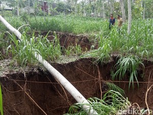 Tanah Amblas di Pacitan Resahkan Warga, Ahli Geologi Akan Didatangkan