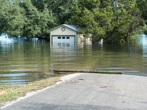 5 Orang Tewas Akibat Banjir di Brasil