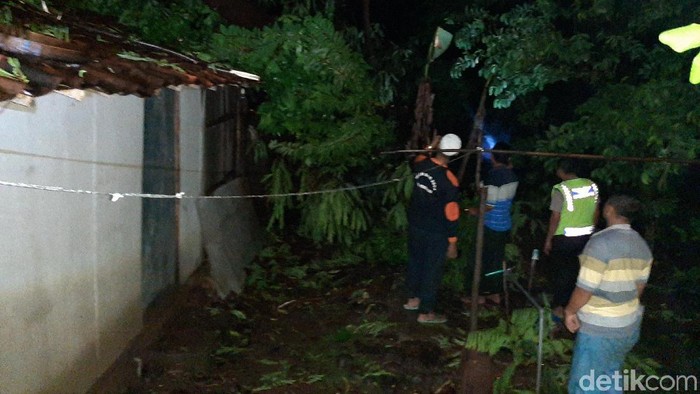 Puting beliung menumbangkan pohon dan merusak rumah (Foto: M Rofiq/detikcom)