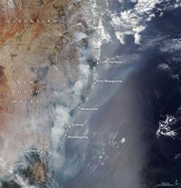Satelit NASA Perlihatkan Dampak Kebakaran Australia 