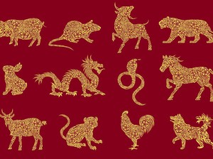 Ramalan Shio 2020: Ini 3 Shio yang Akan Beruntung dan Bersinar