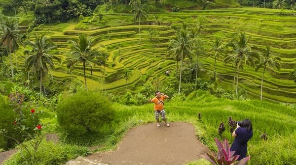 Tegalallang Rice Terrace bisa dikunjungi oleh pemilik zodiak Gemini yang biasanya menyukai keterkaitan dengan alam. Jauh dari keramaian, destinasi ini cocok untuk traveler yang mau melepas penat (iStock) Tegalallang Rice Terrace bisa dikunjungi oleh pemilik zodiak Gemini yang biasanya menyukai keterkaitan dengan alam. Jauh dari keramaian, destinasi ini cocok untuk traveler yang mau melepas penat (iStock)