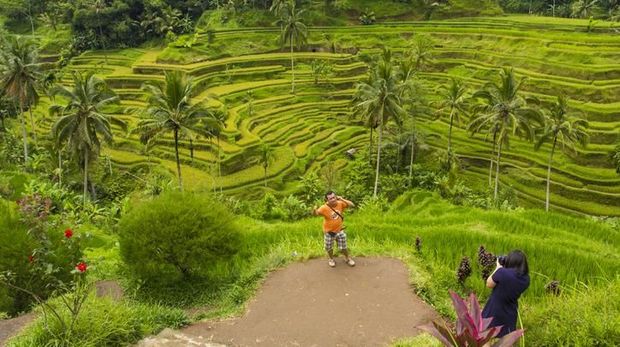 Tegalalang, Bali, Indonesia - April 19, 2013: A tourist has his photograph taken in front of traditional Balinese rice terraces