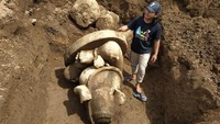 Sejak ditemukan pada Jumat (27/12), tubuh arca Ganesha itu belum dipindahkan ke lokasi baru. Sementara temuan kepalan tangan arca Ganesha, batu bata, dan atap candi sudah disimpan di Museum Kaliasa di Dieng.