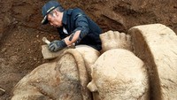 Penemuan arca Ganesha itu membuat Kepala UPT Pengelolaan Obyek Wisata Dieng, Aryadi Darwanto, pun berharap adanya eskavasi lanjutan untuk mencari kepala arca terbesar ini. Aryadi mengatakan kelanjutan dari penemuan arca ini menunggu kedatangan Balai Pelestarian Cagar Budaya (BPCB) Jawa Tengah. BPCB dijadwalkan akan ke Dieng awal pekan depan.