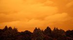 Potret Langit Selandia Baru yang Menguning Imbas Karhutla Australia