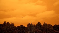 Tak hanya membuat warna langit menjadi menguning, kabut asap dilaporkan juga terjadi di sejumlah wilayah Selandia Baru.