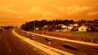 Sejumlah kendaraan melintas di kawasan Auckland, Selandia Baru, yang warna langitnya nampak menguning, Minggu (5/1/2020).