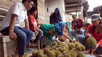 Mappateka sendiri merupakan bahasa Suku Pattae yang berarti membawa buah-buahan ke rumah pemangku adat yang ditentukan.  (Abdy Febriady/detikcom)