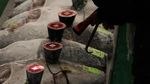 Super! Pengusaha Ini Bawa Pulang Ikan Tuna Seharga Rp 24 M