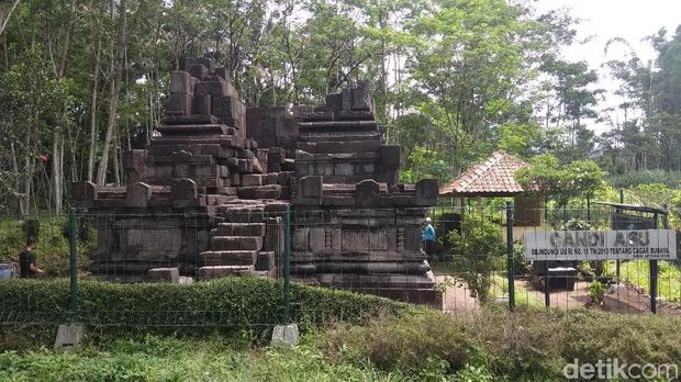 Tidak Ada Patung Anjing, Tapi Warga Tetap Menyebutnya Candi Asu 