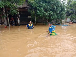 Banjir dan Anomali Kebijakan