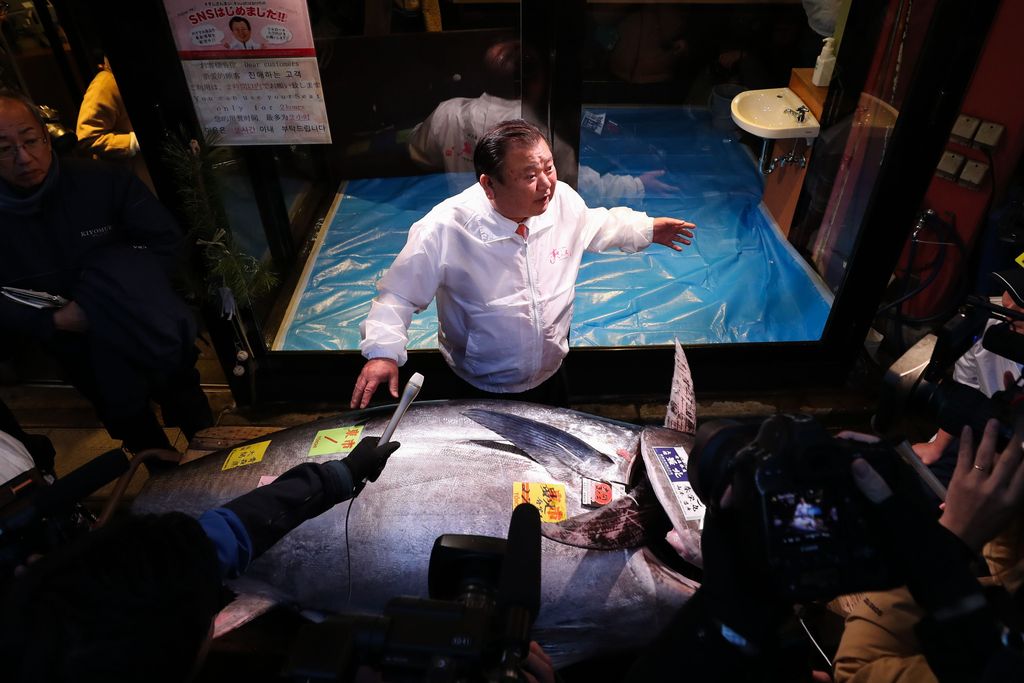 Pasar ikan Toyosu di Jepang kembali gelar lelang awal tahun. Pengusaha sushi Kiyoshi Kimura berhasil menangkan lelang ikan tuna dengan harga mencapai Rp 24 M.