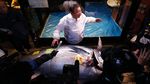Super! Pengusaha Ini Bawa Pulang Ikan Tuna Seharga Rp 24 M