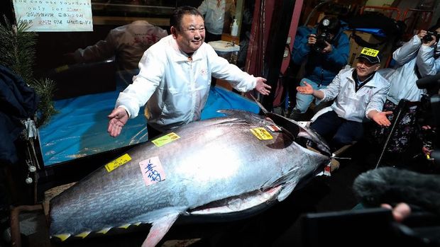Pasar ikan Toyosu di Jepang kembali gelar lelang awal tahun. Pengusaha sushi Kiyoshi Kimura berhasil menangkan lelang ikan tuna dengan harga mencapai Rp 24 M.