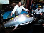 Tuna Bluefin di Malta dan Laut Kita