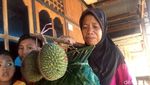 Foto: Tradisi Bagi-bagi Buah Sambut Panen di Sulawesi