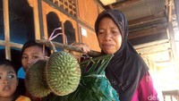 Setiap daerah pasti punya tradisi khas. Di Polewali Mandar, ada tradisi Mappateka yang digelar sebagai rasa bersyukur menyambut datangnya musim panen buah. (Abdy Febriady/detikcom)
