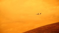 Sebuah pesawat nampak melintasi langit yang berwarna kekuningan di kawasan Auckland, Selandia Baru.
