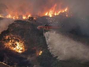 Turut Berduka, Indonesia Siap Bantu Australia Soal Kebakaran Hutan
