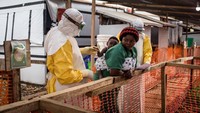 Seorang tenaga medis terlihat berinteraksi dengan sorang bocah yang digendong oleh pengasuh di pusat perawatan ebola di wilayah Beni, Kongo. Istimewa/UNICEF/Tremeau.