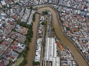 Peneliti LIPI: Normalisasi Sungai Merusak Ekosistem, tapi...
