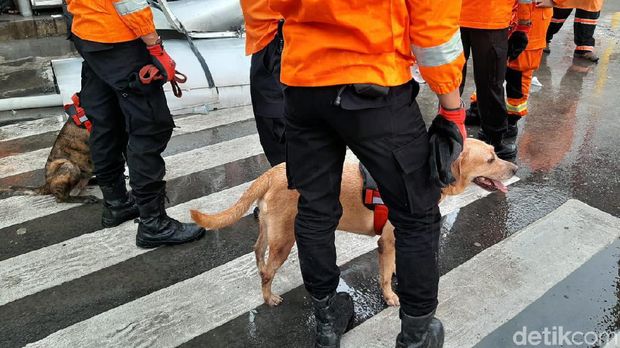 Foto: Yoki Alvetro/detikcom