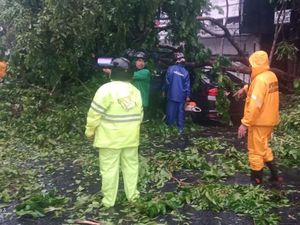 Waspada, 3 Hari ke Depan Jatim Masih Dilanda Hujan Disertai Angin Kencang