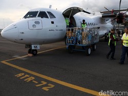 Gebrakan TransNusa di Langit RI 