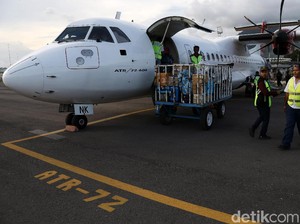 Maskapai TransNusa Stop Operasi
