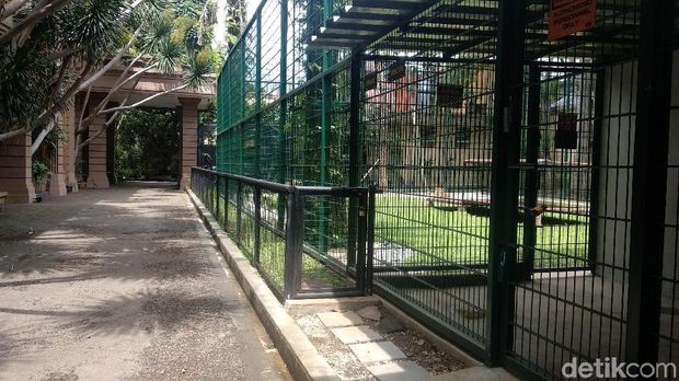 Sepupu Raffi Pelihara Harimau Benggala Tuai Kontroversi, Ini Klarifikasinya