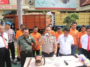 Enam Pembalak Liar Ditangkap, 43 Batang Kayu Jati Gelondongan Diamankan