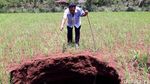 Lubang Misterius Muncul di Gunungkidul Pascahujan Deras