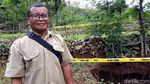 Begini Penampakan Lubang yang Kembali Muncul di Gunungkidul