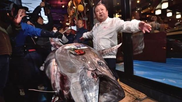 Jutawan Jepang Beli Tuna Raksasa Seharga 25 M