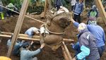 Begini Momen Pemindahan Arca Ganesha Terbesar di Dieng